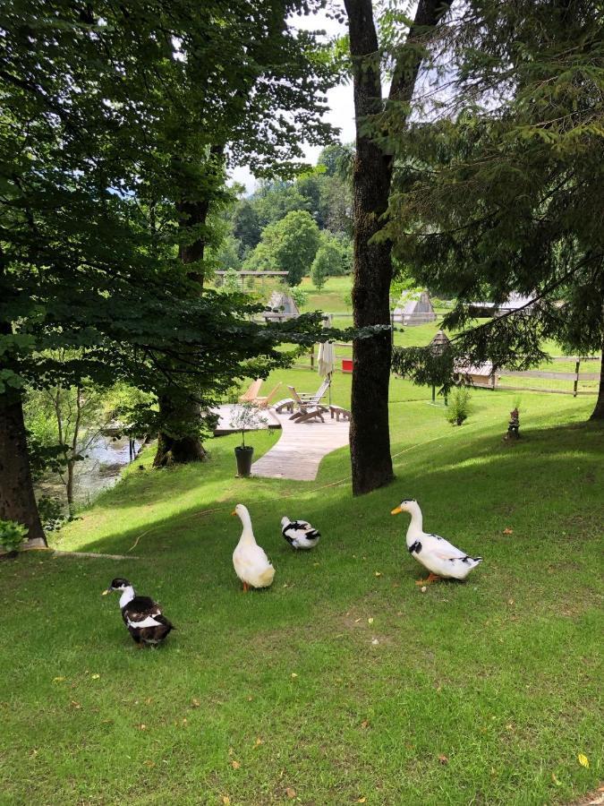 Apartment Kokl - Adults Only