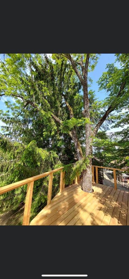 Apartment Kokl - Adults Only