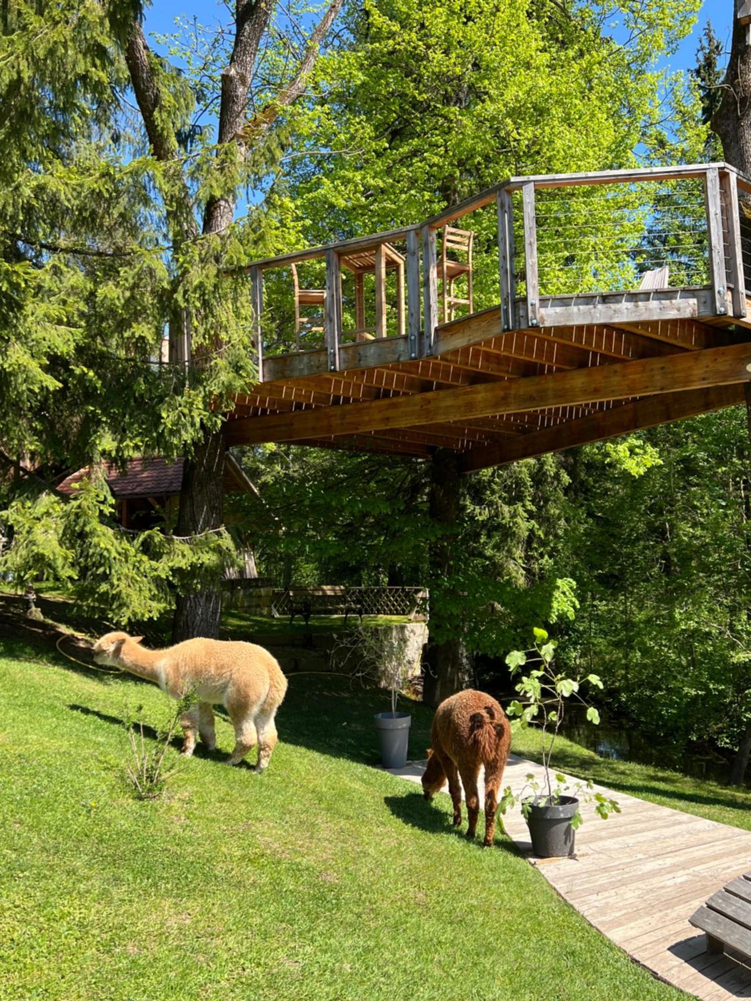 Kokl - Adults Only Apartment Radovljica