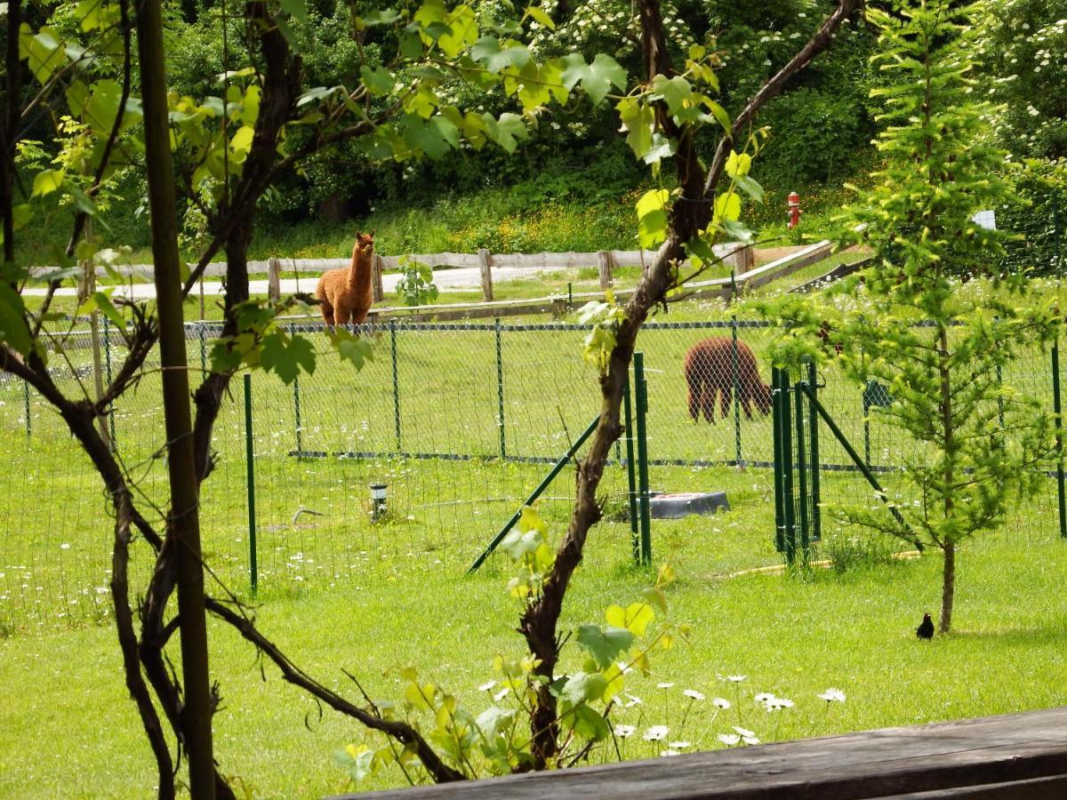 Apartmán Kokl - Adults Only Radovljica